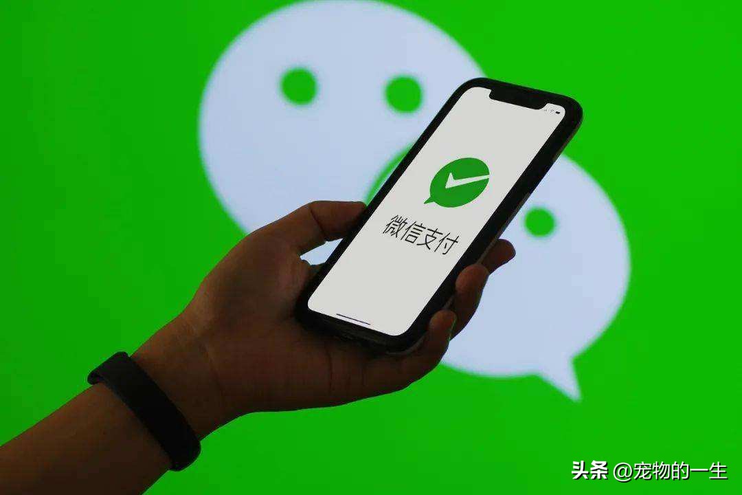 多所高校将停用微信支付新闻,手续费多所高校宣布停用微信支付