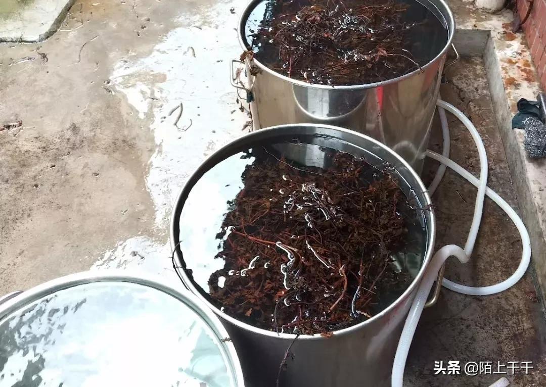 广东开平马冈凉粉,正宗的古镇特色凉粉