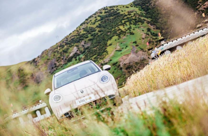 浪漫男友圣诞节送欧拉好猫？当事人：哄女友神器了