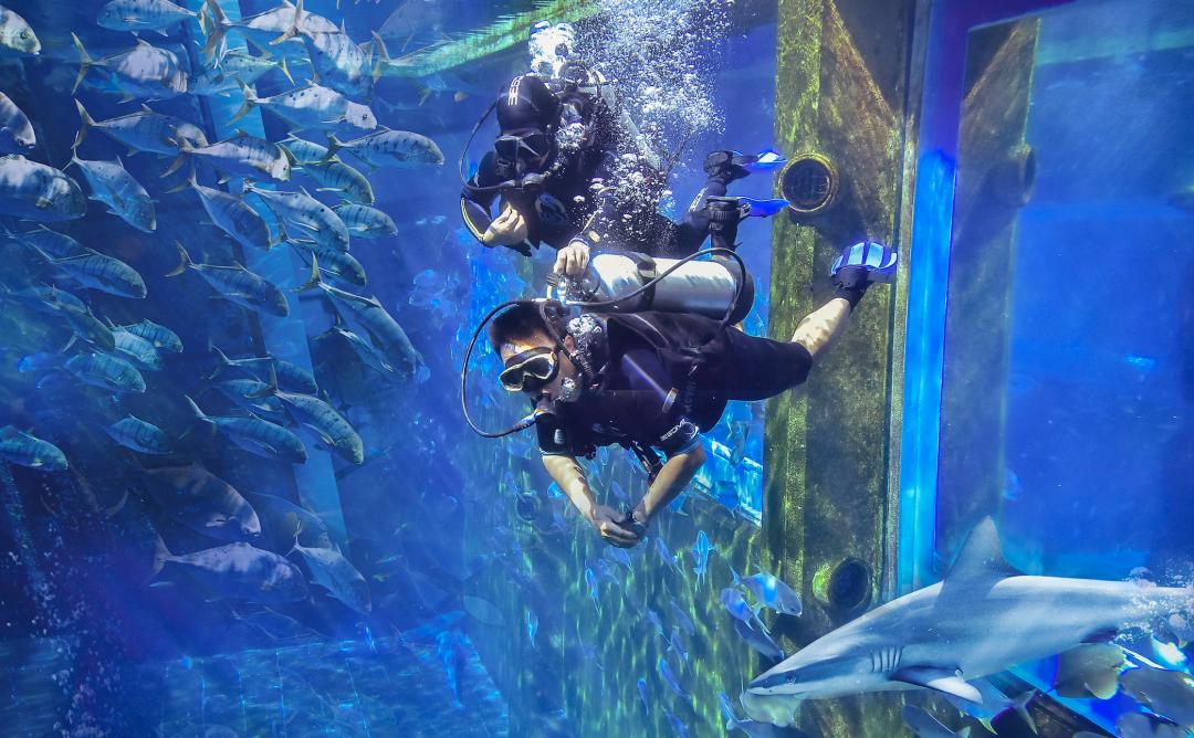 回族去三亚旅游攻略,三亚酒店推荐最全攻略