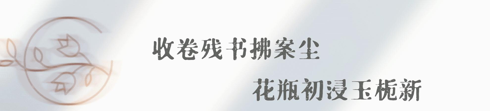 看似辉煌实则一塌糊涂,德云社损人的视频