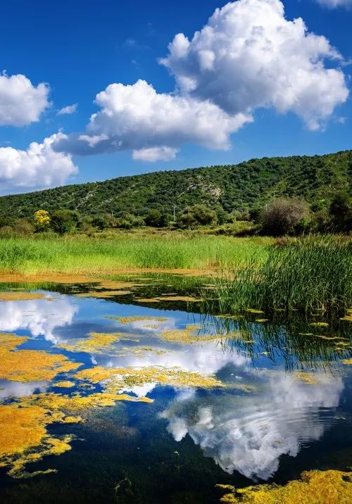 tokina501.4璇勬祴,tokina11-18娴嬭瘎