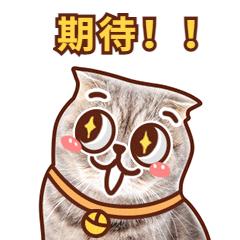 纷享购优惠券,纷享优惠团购