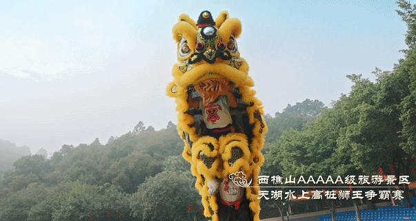 舞狮大战抢彩头,舞狮抢花炮