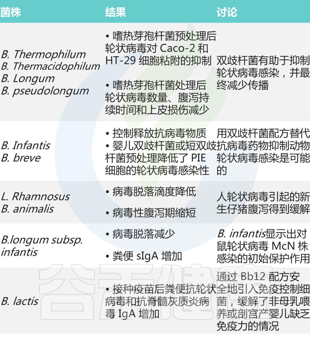 双歧杆菌属于肠道什么菌,双歧杆菌肠道功能会更好