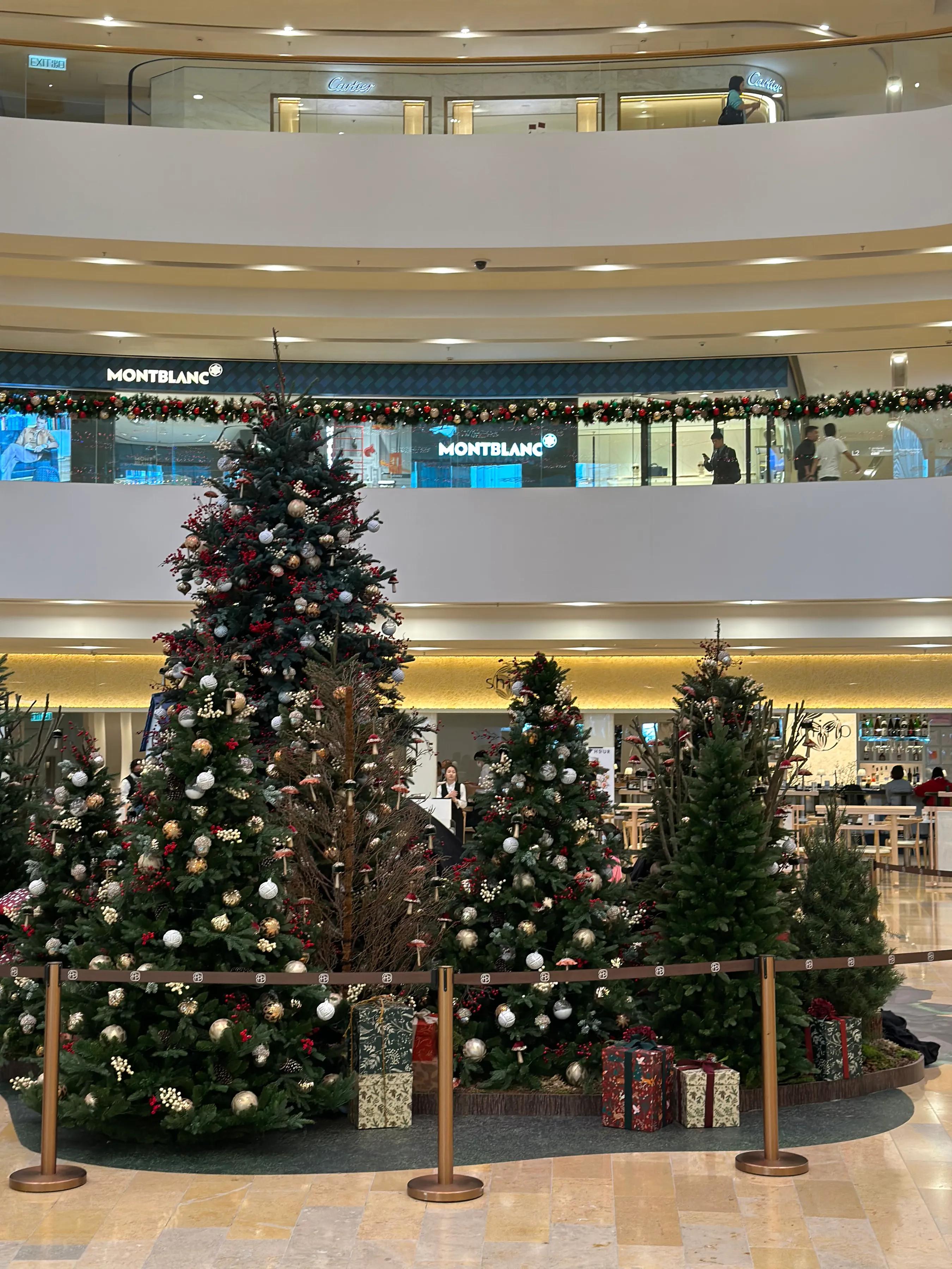 香港圣诞打卡地,香港圣诞打卡路线规划