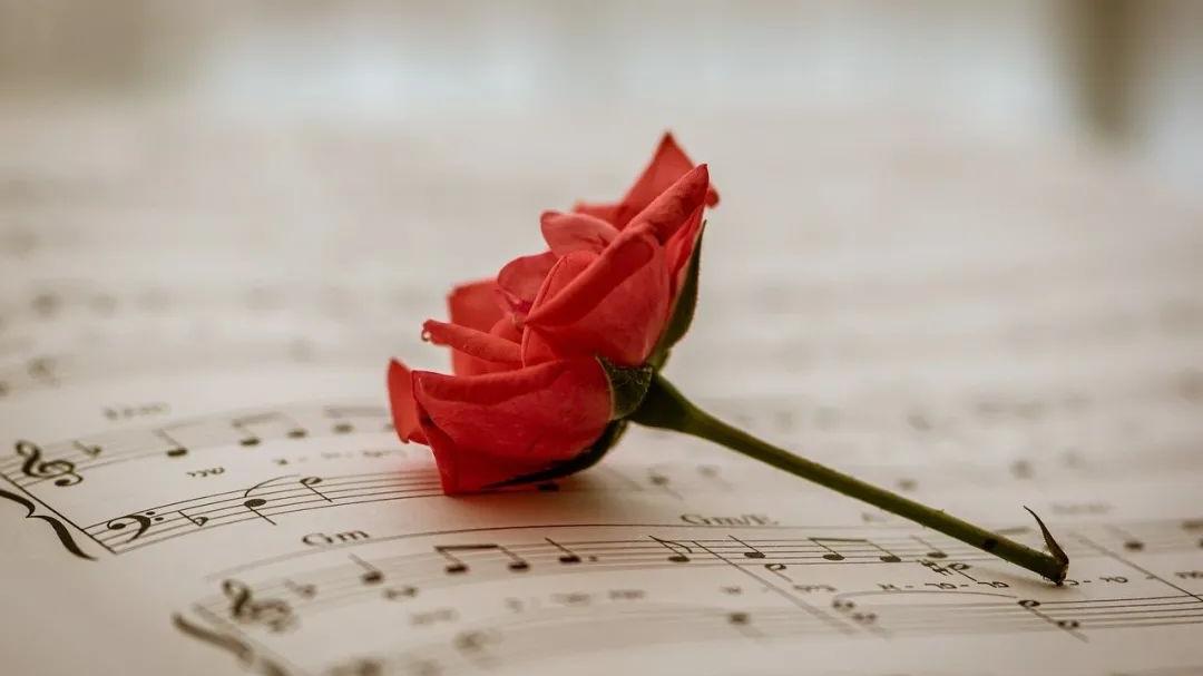 好文共分享全文,好文一起分享