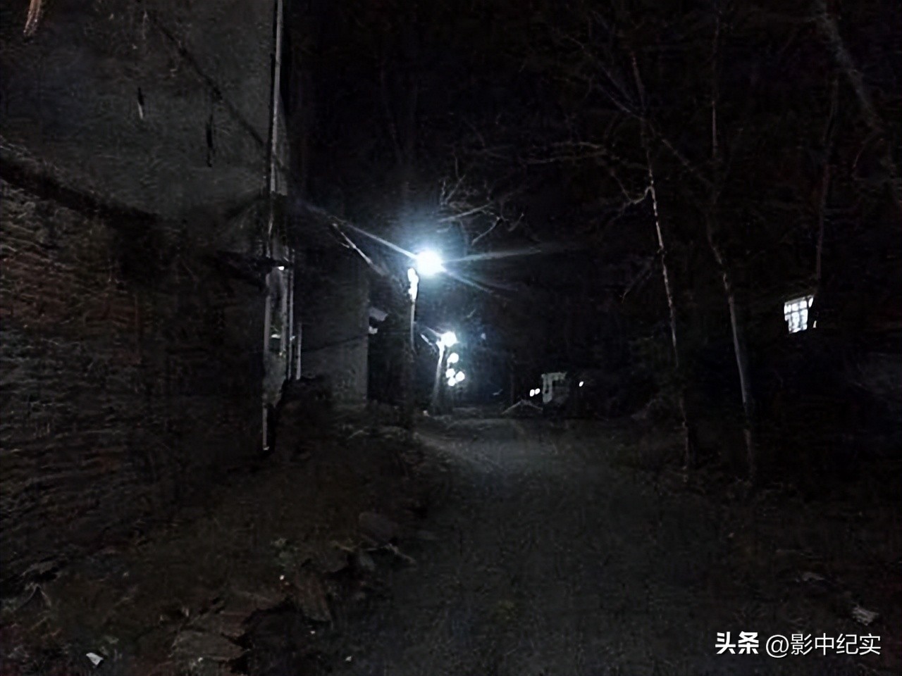 96年海南巨蟒报恩是真实的事吗,96年海南巨蟒为报恩甘愿当保姆