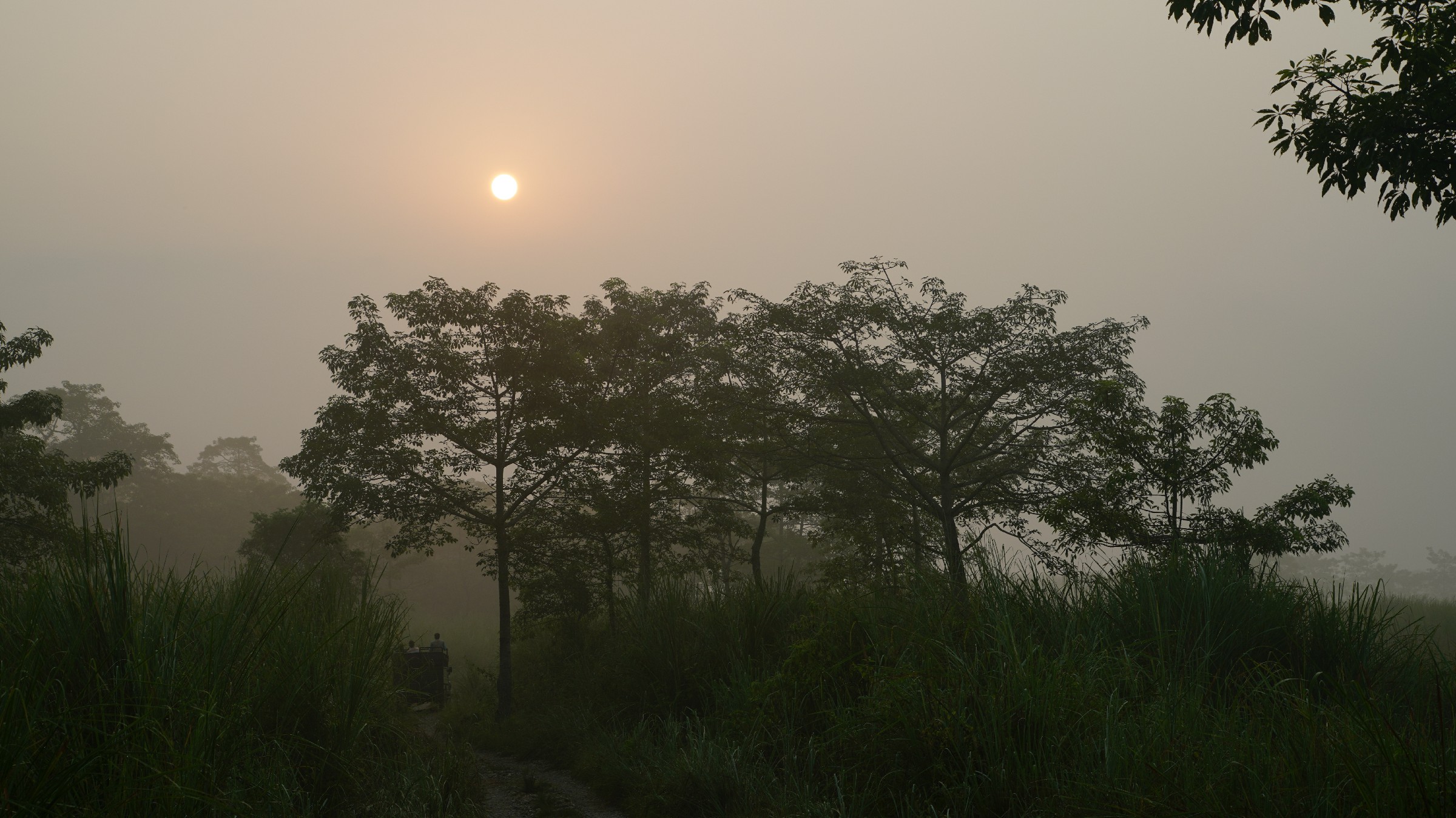 云中鹤游学,云中鹤户外