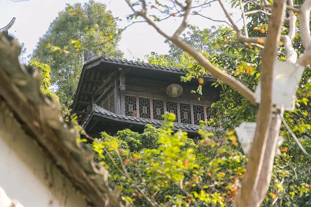 深圳一日游必去的地方,深圳吃货必去的地方