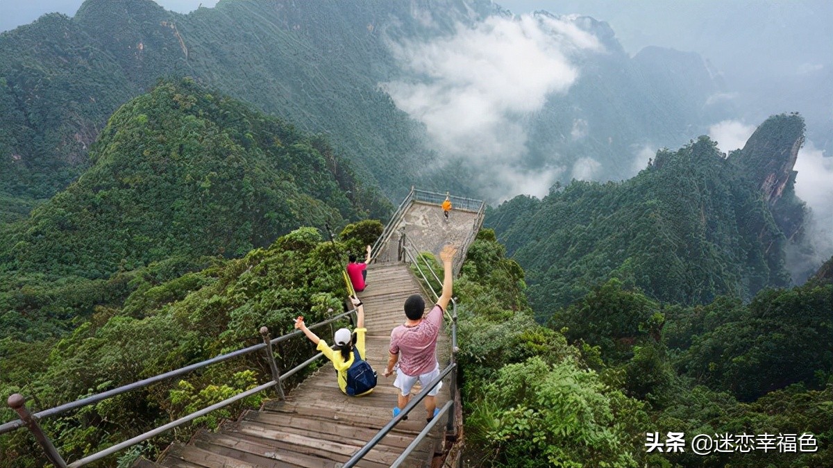 蛇博士完整版,蛇博士烙铁头