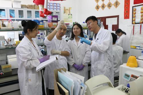 肠道微生物不同菌的功能 (肠道真菌与肠道微生物)