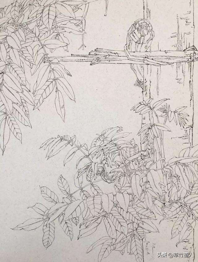 绘画艺术形象及其审美意义,中国绘画的审美特点4字