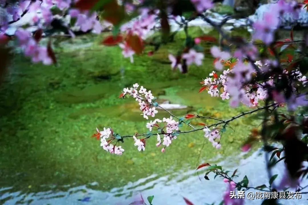 浜斾竴搴峰吇鏃呮父,浜斾竴搴峰吇搴﹀亣鏀荤暐