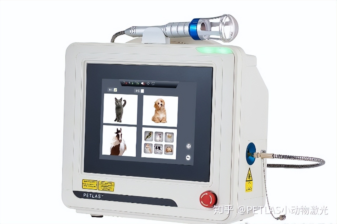 猫口炎激光治疗多少钱,猫口炎激光治疗