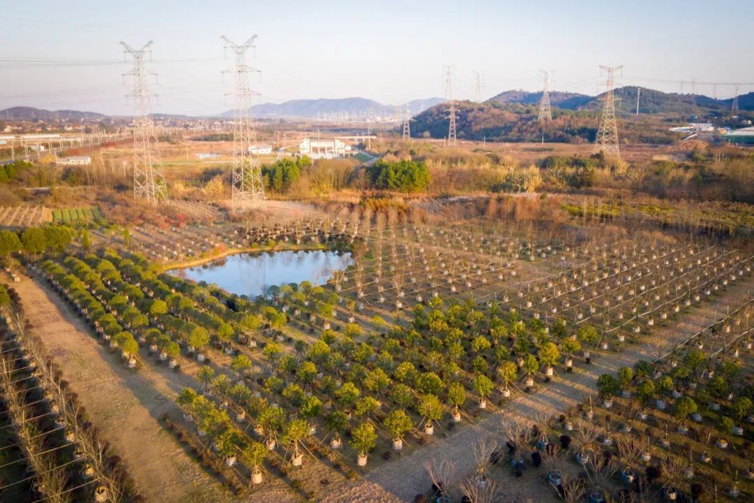 中国第一个垂直森林住宅项目,黄冈垂直森林住宅