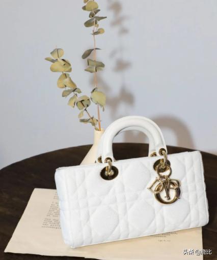 ladydior戴妃包拉链款,美到窒息的迪奥戴妃包