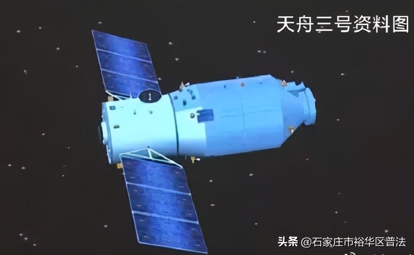 保护野生动物违法案例,最高检危害濒危野生动物典型案例