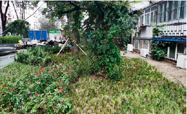 北京城市更新走向成熟,北京城市更新最佳实践