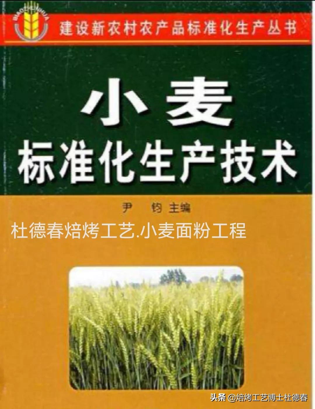 做面包饺子用什么面粉,做水饺馒头用什么面粉最好