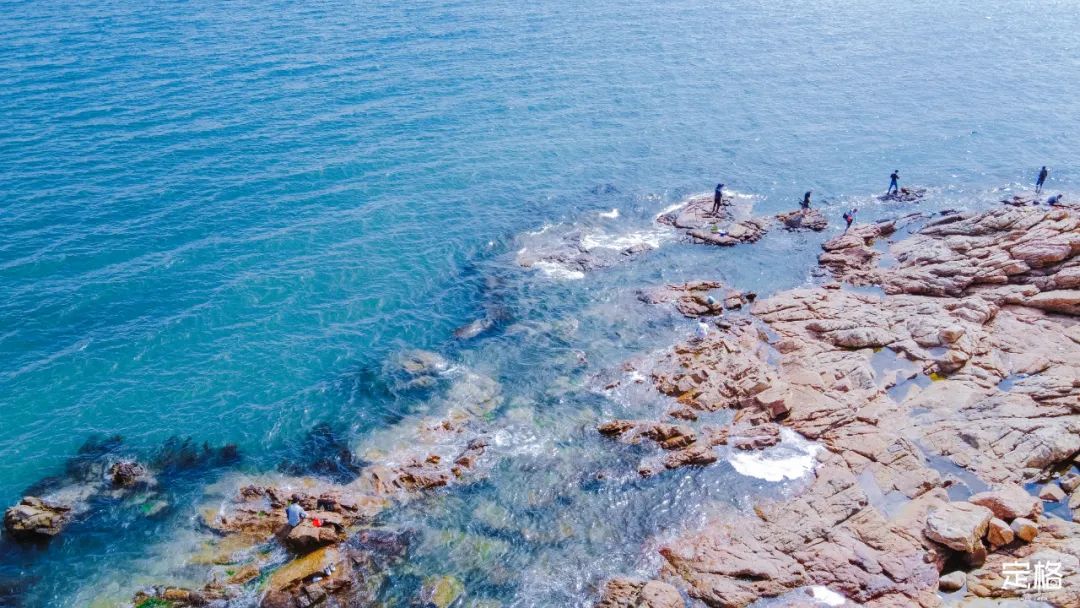 周末来深圳这10个地方免费玩,深圳周末去哪玩免费的地方