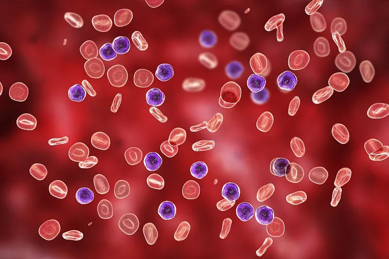 孩子流鼻血怎么快速止血,流鼻血别仰头一招让你快速止血