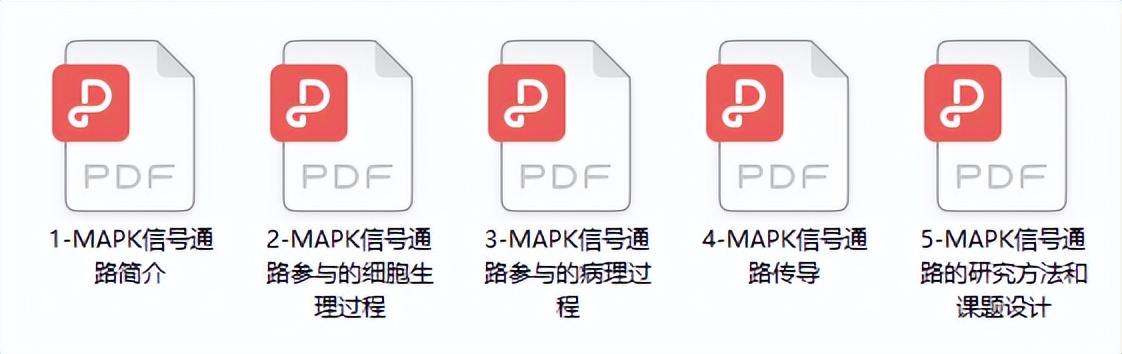 信号通路差异分析,常见的信号通路