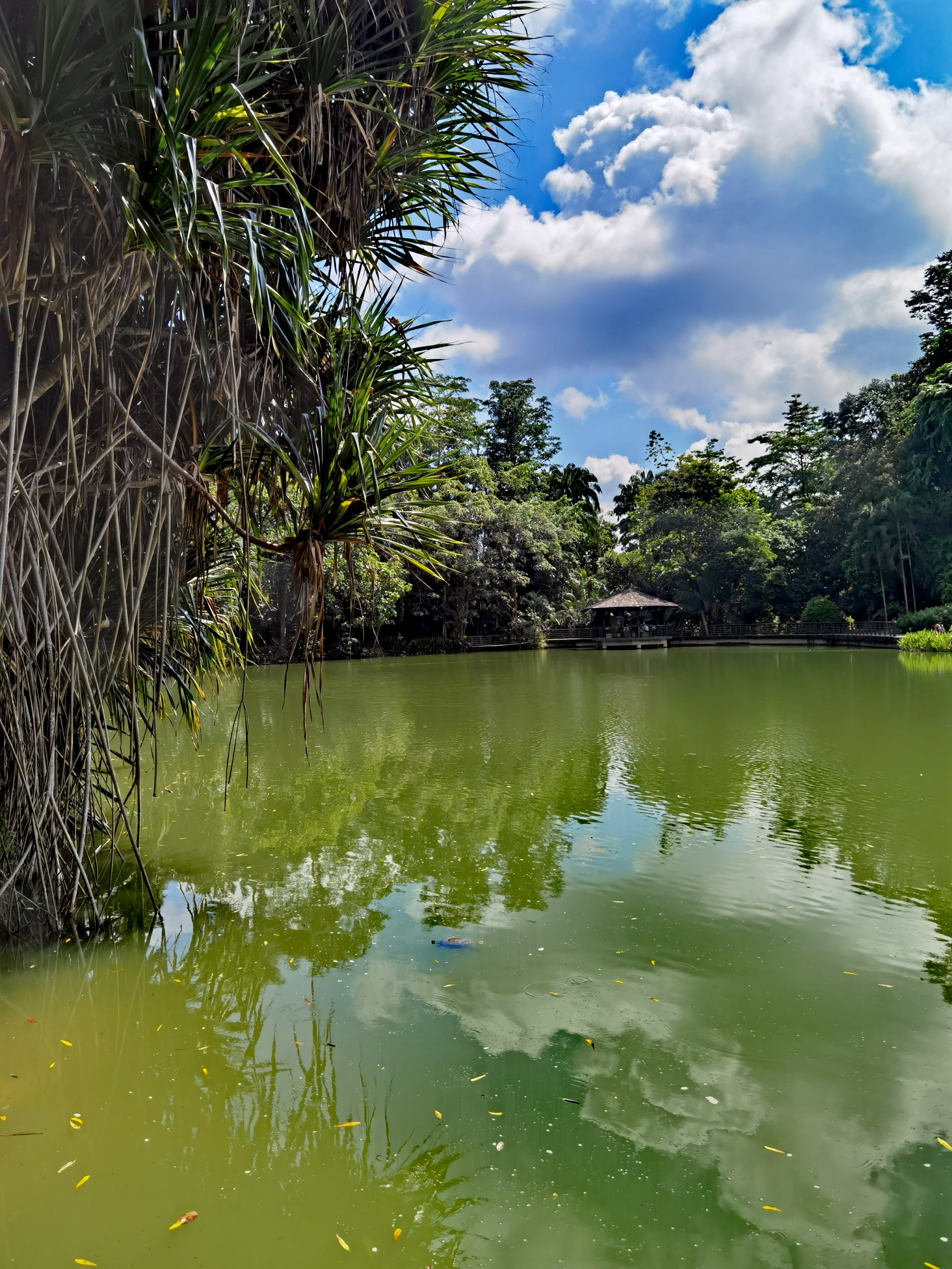 恰如草木对光阴,恰似草木对光阴的钟情下一句