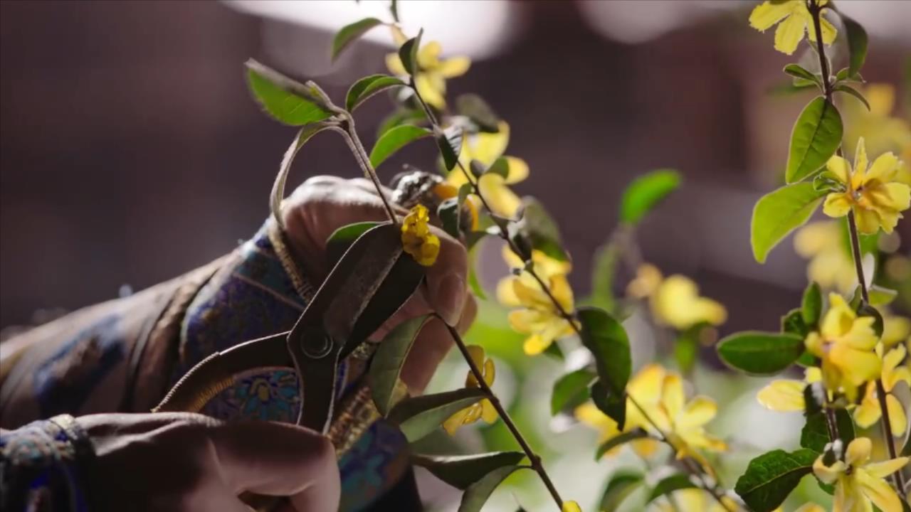 乾隆驾崩留下的嫔妃都活了多久,乾隆死后他的妃子都是什么下场