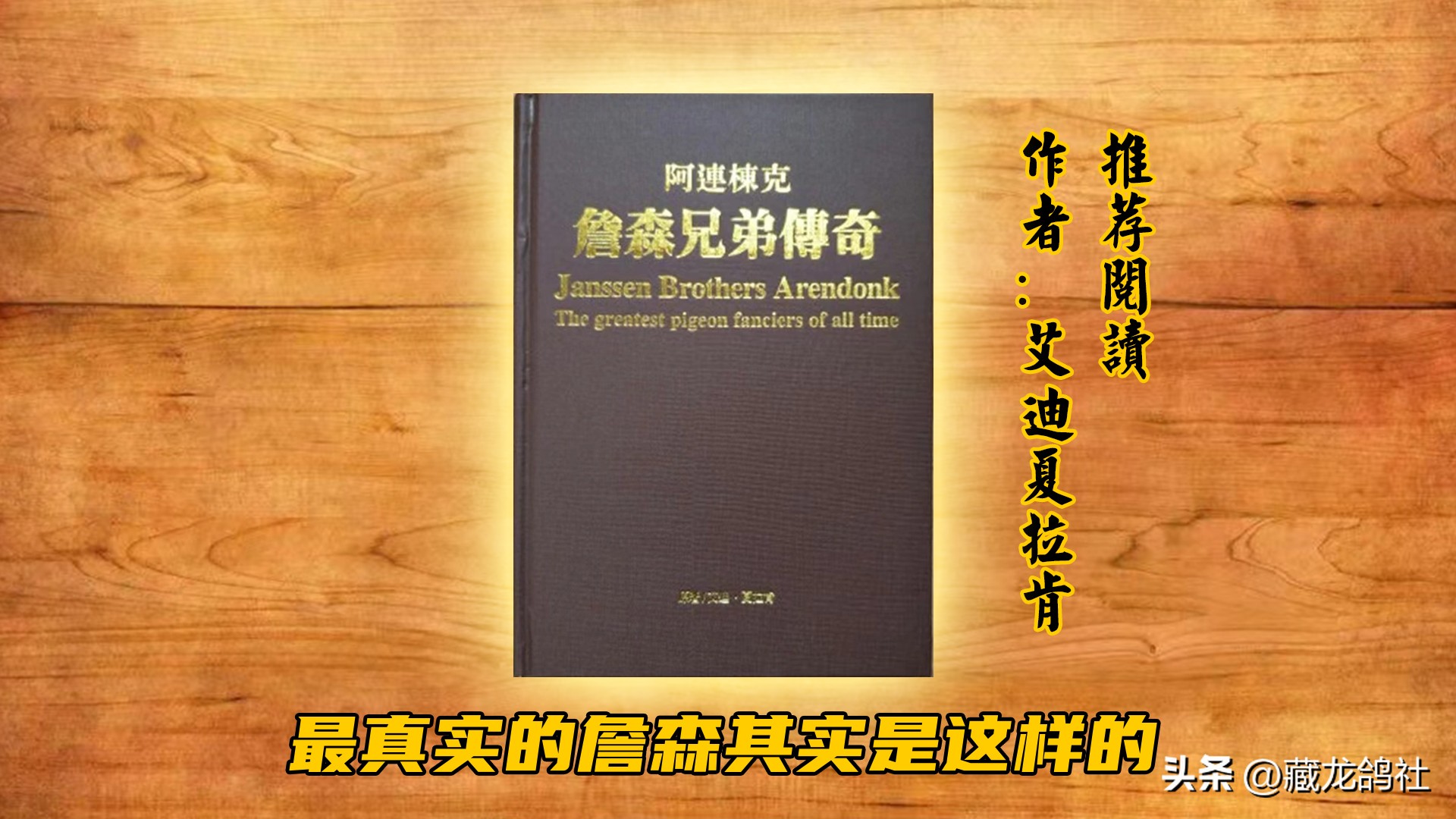 鸽友总结的鉴鸽口诀,美国鸽友