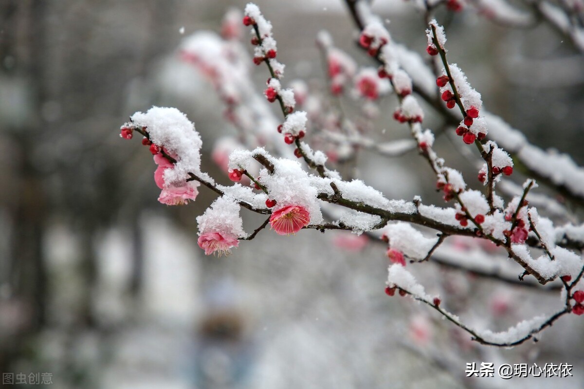 这些星座把自己活成财神爷，内心强大能力出众，心如真金光耀众生