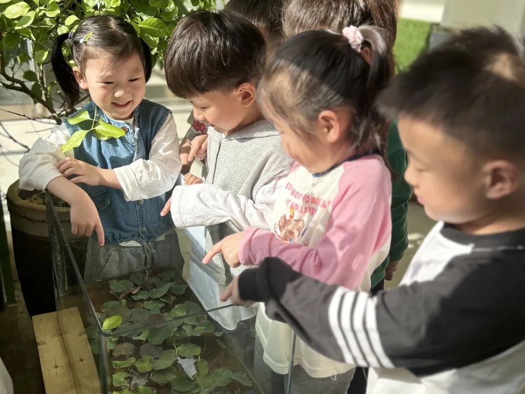 倾听儿童相伴成长主题墙幼儿园,倾听儿童相伴成长幼儿园小班视频