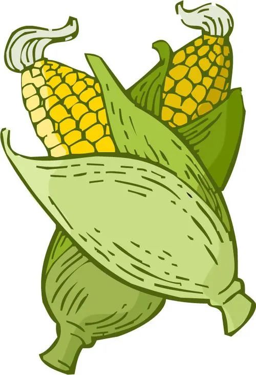 心塞这玉米多贵？支持农民的不容易！囤货模式＋料理模式开启