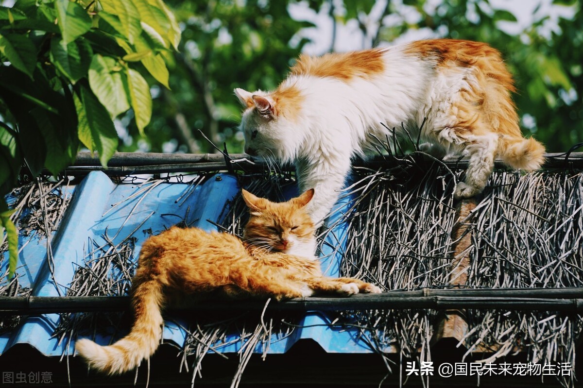 鐚挭鍙戞儏浜嗗彲浠ユ礂婢″墐姣涘悧,鍏尗鍜墐姣涘悗鍙戞儏鎬庝箞缂撹В