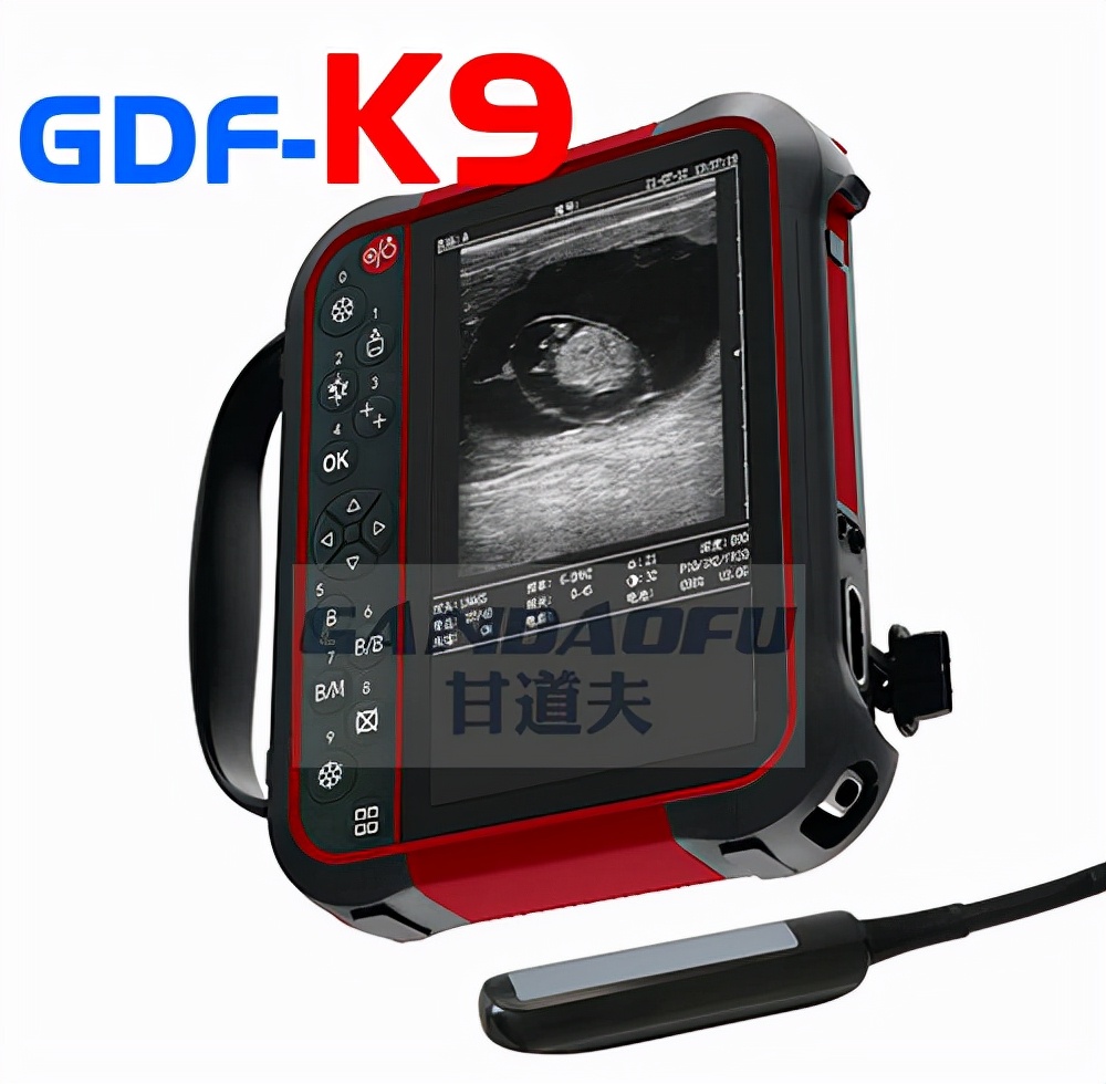 驴马用B超使用方法教程超声图像判断分析