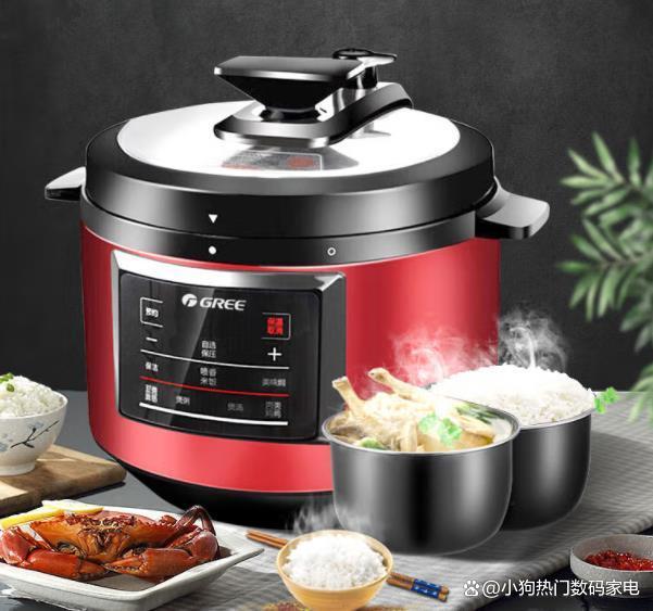 电压力锅十大品牌排名,十大品牌电压力锅质量排名图片