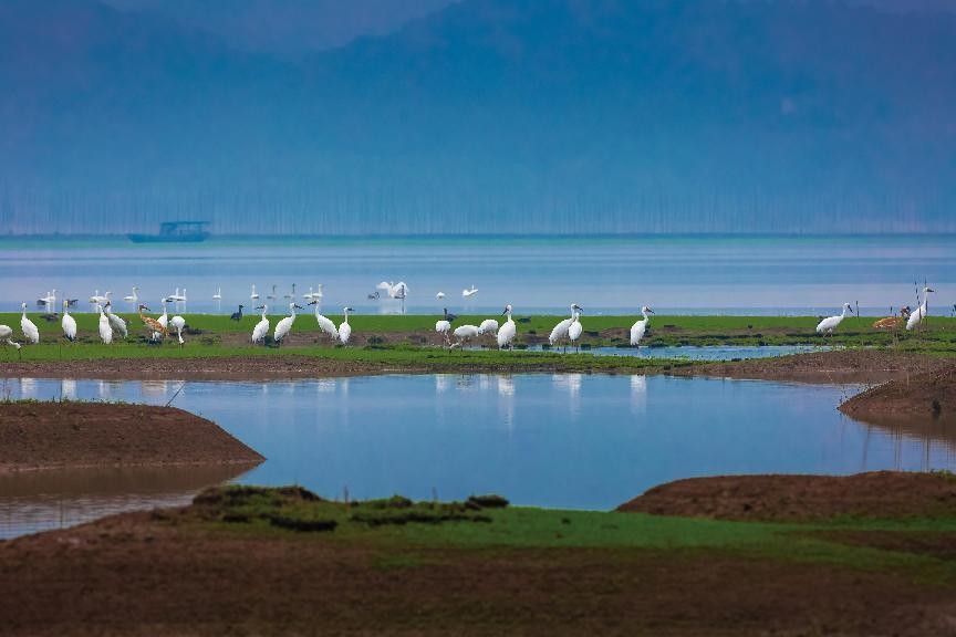 我和我的家乡一池山水千载诗城,一池山水一片净土