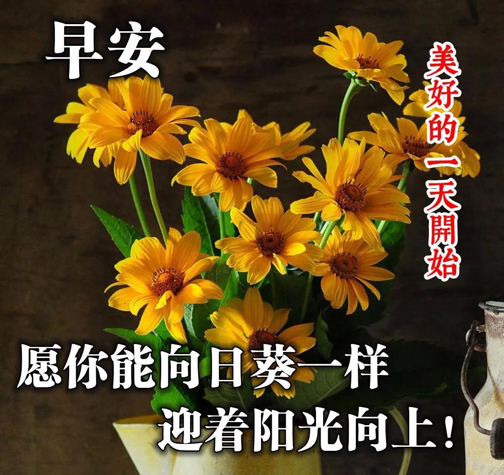 微信很火的早上好问候语阳光图片,早上好微信祝福图片大全