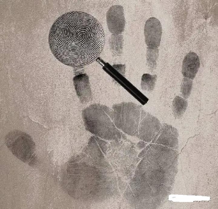 斗和簸箕的科学解释,斗纹和簸箕的科学论证