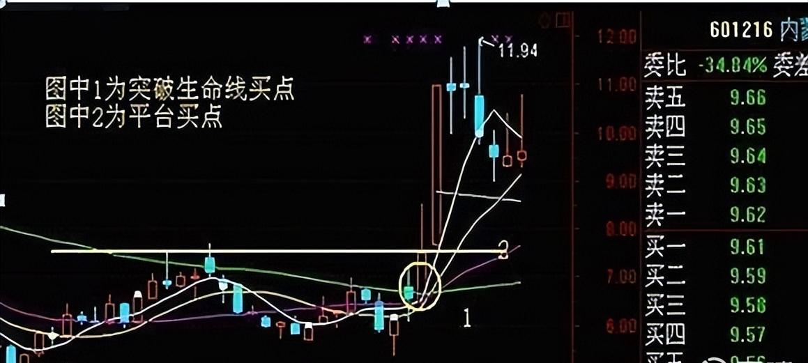 赢家必读短线炒股快速入门pdf,股市成功者经典案例