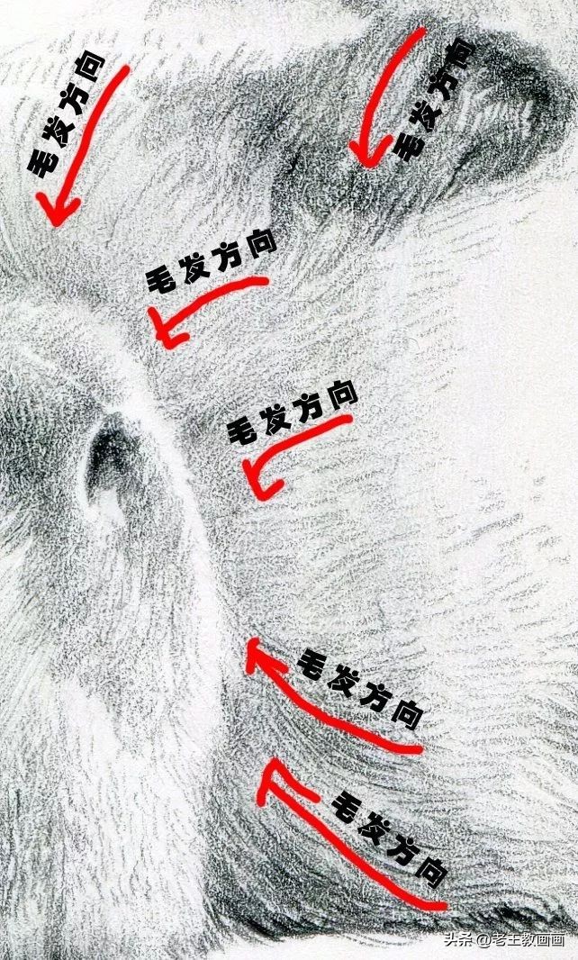 兔年怎么画一个好看的兔子,兔年到了怎么画一只兔子