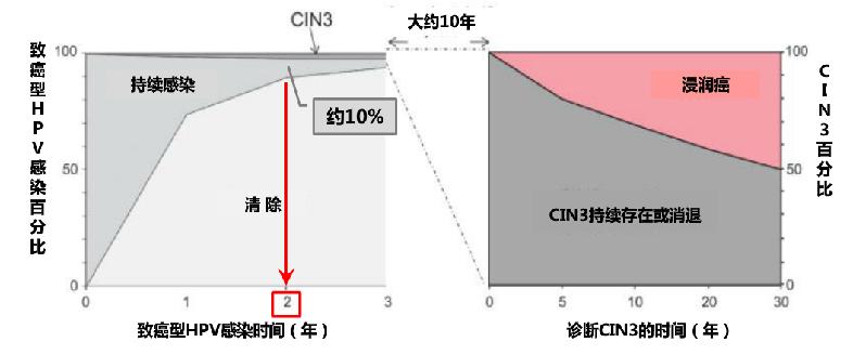 派特灵生物,派特灵生物讲解