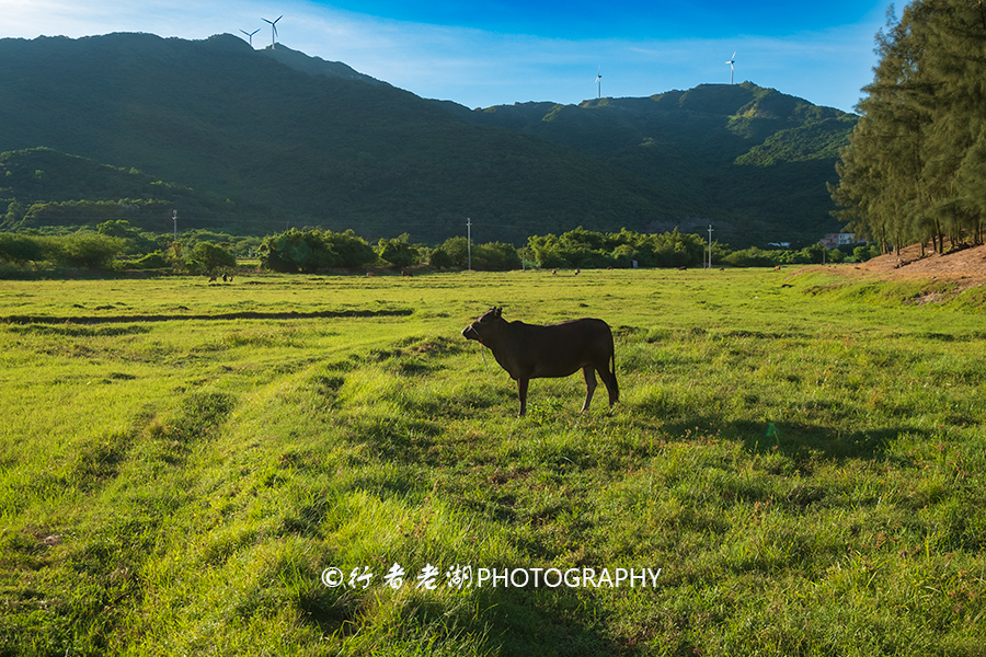 海上度假胜地及酒店,海上度假去哪里