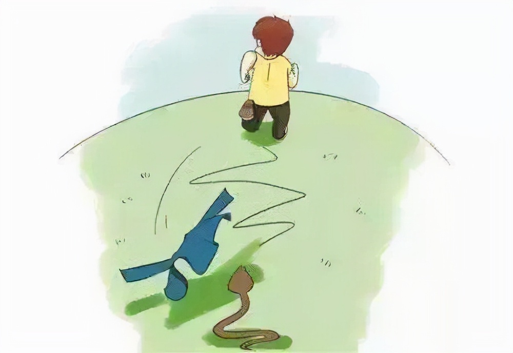 2米长大蟒蛇吓坏居民,深山出现巨大蟒蛇