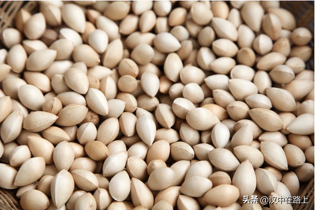 留坝的特产品种有哪些,留坝特产