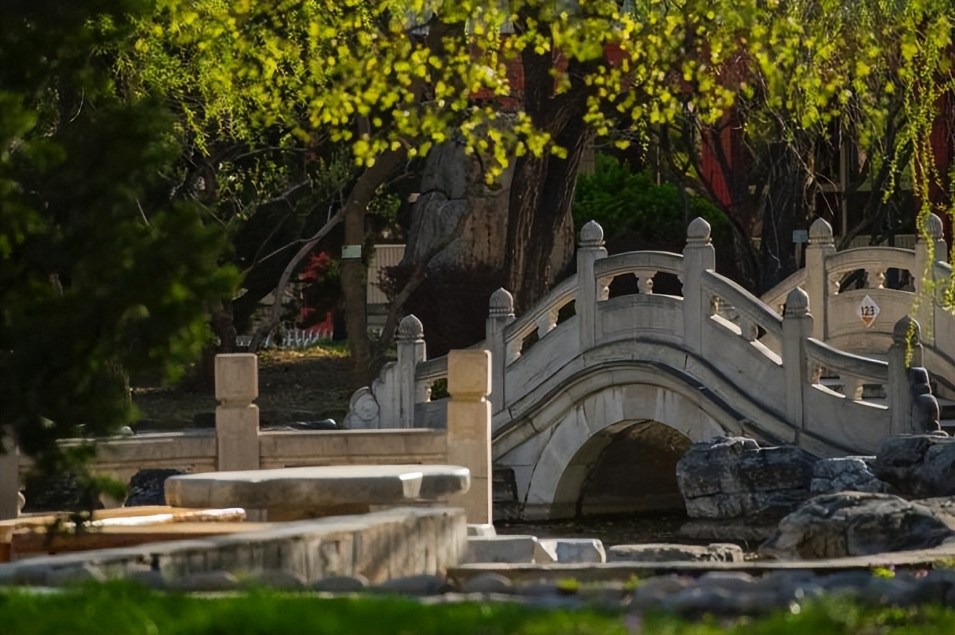 北京外国语大学外交学专业就业,京外毕业生考入外交部最多高校