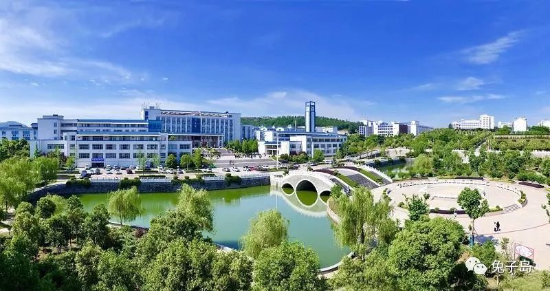 湖北高职技术学院排名前十,2022年湖北职业学院排名