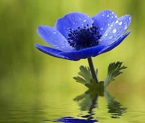 唯有坚强才能战胜困难,唯有坚强才能过得更好