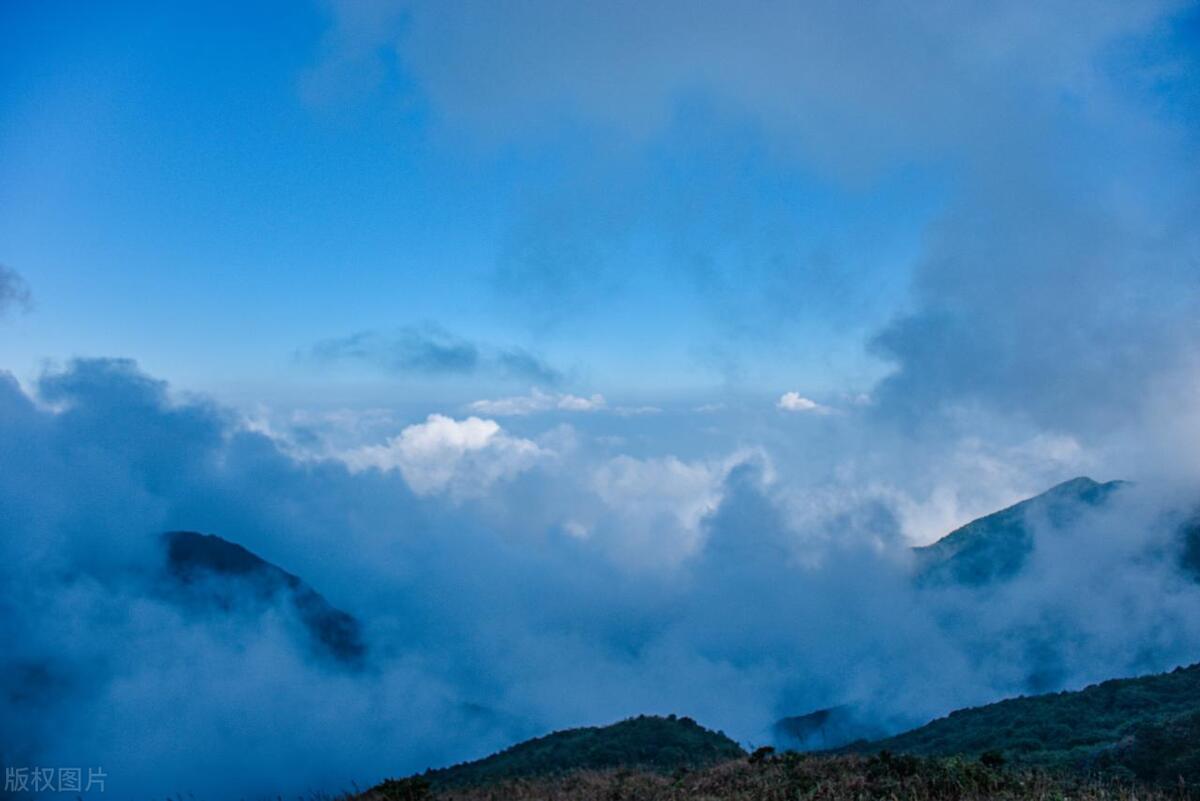 马尔代夫哪个岛可以看见海龟,马尔代夫海龟一般出现在哪里