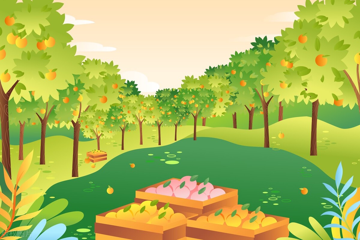 儿童故事：小熊和小狐狸的果园之旅